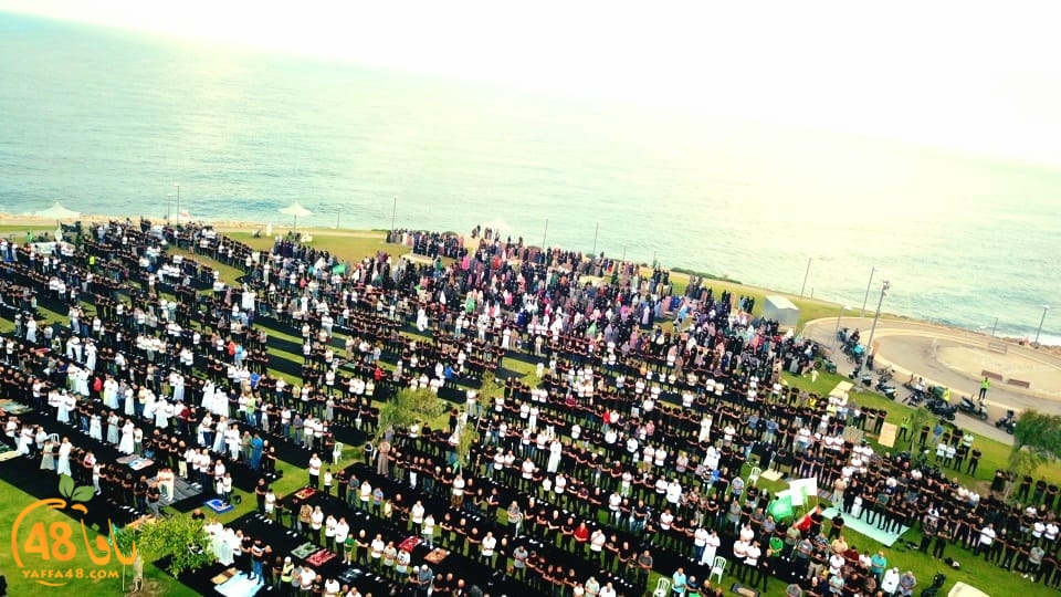 WhatsApp Image 2023-06-28 at 11.33.46 AM.jpeg